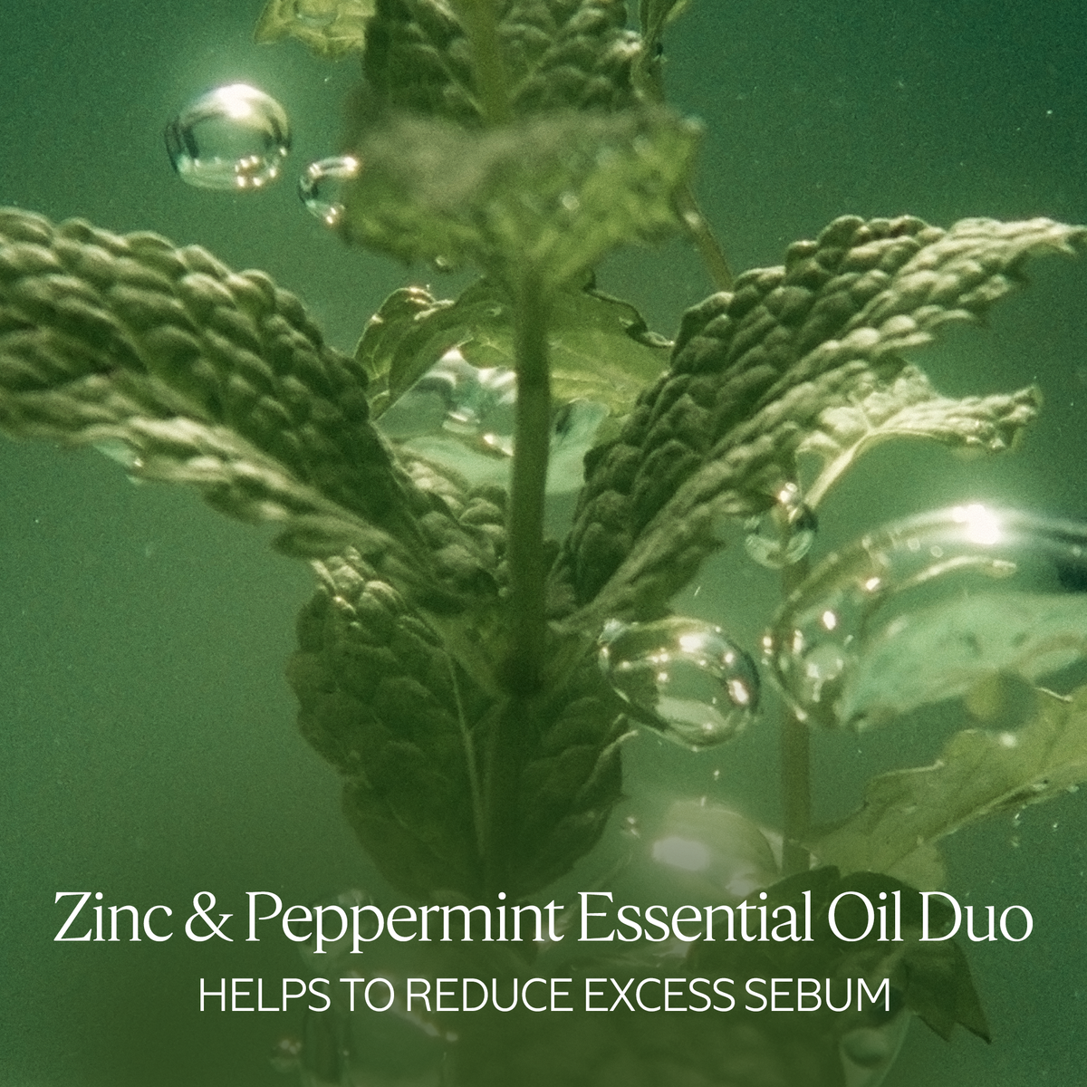 Shampo Pastruese Freskuese nga Aromakologjia