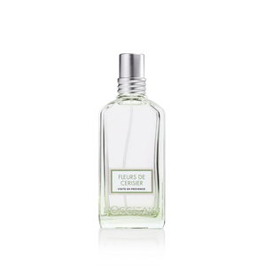 Fleurs de Cerisier Visite en Provence EDT