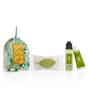 ORNAMENT DEKORATIV VERBENA