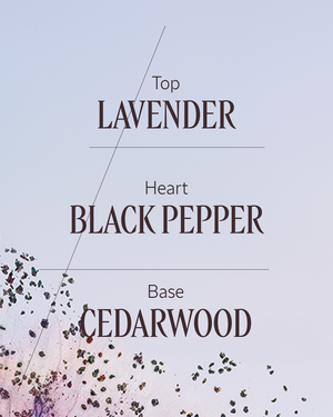 Lavande Poivre Noir Eau de Toilette