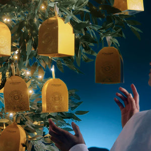 Shtëpizë Festive Almond