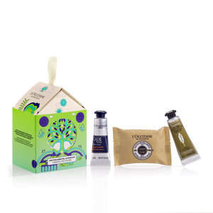 ORNAMENT FESTIV PËR MESHKUJ