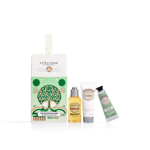 ORNAMENT DEKORATIV BAJAME