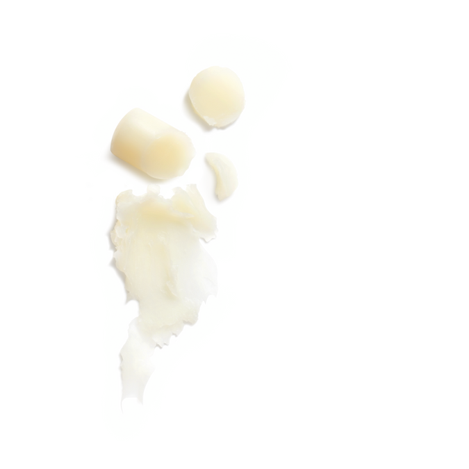 Balsam i Ngurtë për Buzët me Shea Butter