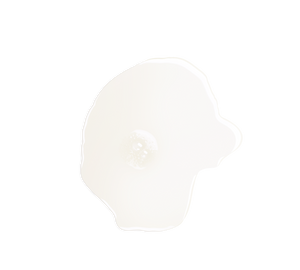 Locion Ndriçues pwr Fytyrën nga Reine Blanche